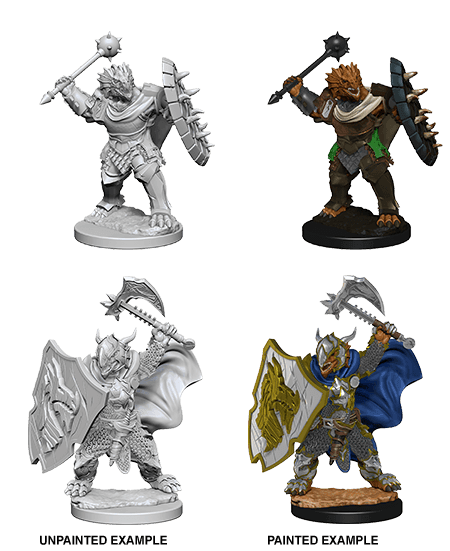 D&D: Nolzur's Marvelous Miniatures - Dragonborn Male Paladin - 
