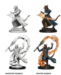 D&D: Nolzur's Marvelous Miniatures - Tiefling Male Sorcerer - 