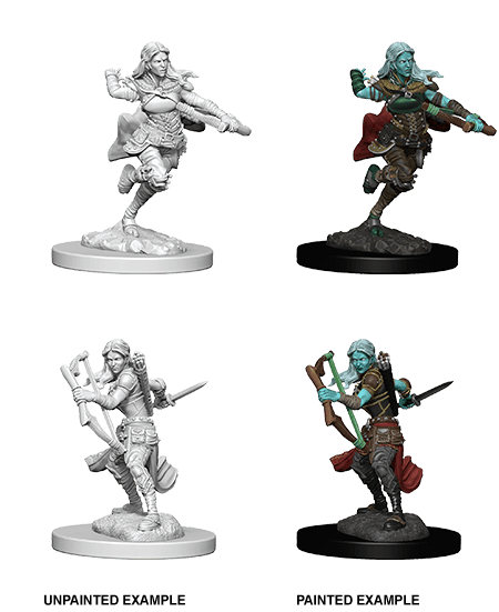 D&D: Nolzur's Marvelous Miniatures - Air Gensai Female Rogue - 