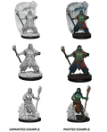 D&D: Nolzur's Marvelous Miniatures - Water Genasi Male Druid - 