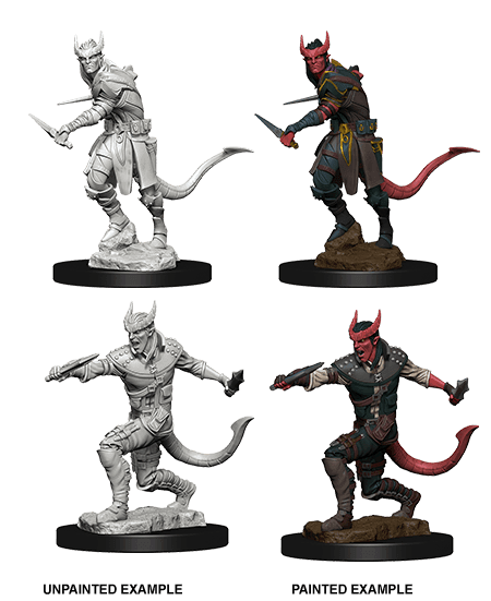D&D: Nolzur's Marvelous Miniatures - Tiefling Male Rogue - 