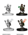 Pathfinder: Deep Cuts - Gnome Male Druid - 