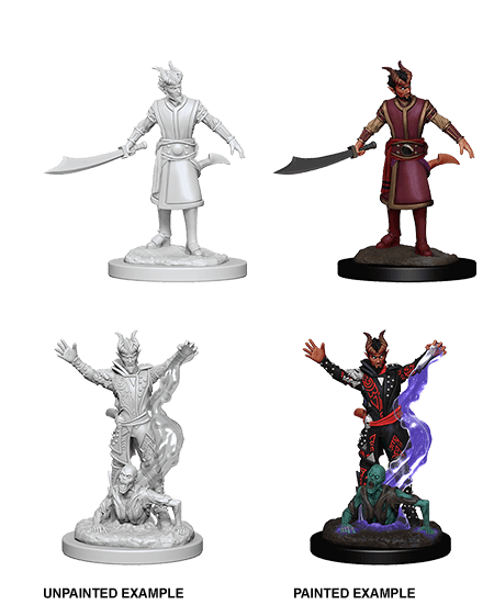 D&D: Nolzur's Marvelous Miniatures - Tiefling Male Warlock - 