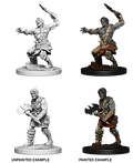 D&D: Nolzur's Marvelous Miniatures - Nameless One - 