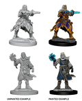 Pathfinder: Deep Cuts - Human Male Wizard - 