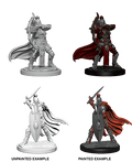 Pathfinder: Deep Cuts - Female Knights / Gray Maidens - 