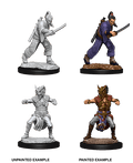D&D: Nolzur's Marvelous Miniatures - Human Male Monk - 
