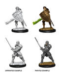 D&D: Nolzur's Marvelous Miniatures - Human Male Fighter - 