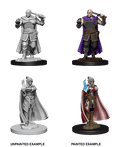 D&D: Nolzur's Marvelous Miniatures - Human Ranger & Moon Elf Sorcerer - 