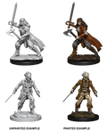 D&D: Nolzur's Marvelous Miniatures - Vampire Hunters - 