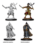 D&D: Nolzur's Marvelous Miniatures - Elf Male Paladin - 