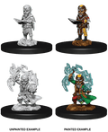 Pathfinder: Deep Cuts - Gnome Male Sorcerer - 