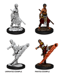 D&D: Nolzur's Marvelous Miniatures - Half-Elf Male Monk - 
