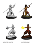 D&D: Nolzur's Marvelous Miniatures - Half-Elf Female Monk - 