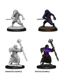 D&D: Nolzur's Marvelous Miniatures - Kenku Adventurers - 