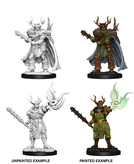 Pathfinder: Deep Cuts - Half-Orc Male Druid - 