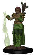 D&D: Icons of the Realms - Human Female Druid - 