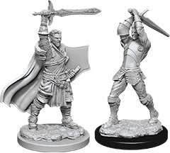 D&D: Nolzur's Marvelous Miniatures - Male Human Paladin - 