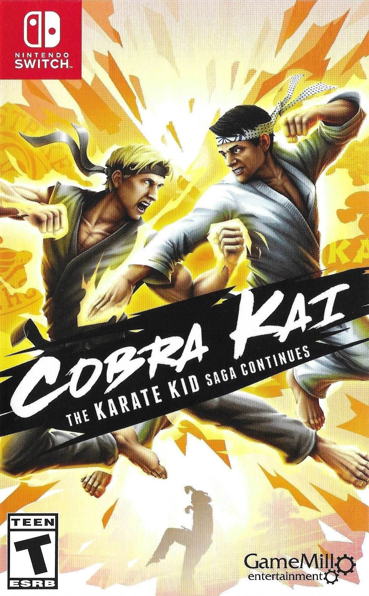 Cobra Kai: The Karate Kid Saga Continues (Nintendo Switch) - Game Manual Only