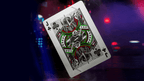 Teenage Mutant Ninja Turtles Playing Cards by theory11 - 