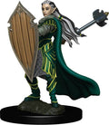D&D: Icons of the Realms - Elf Paladin Female Premium Figure - 