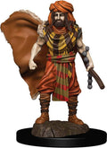D&D: Icons of the Realms - Human Druid Male Premium Figure - 