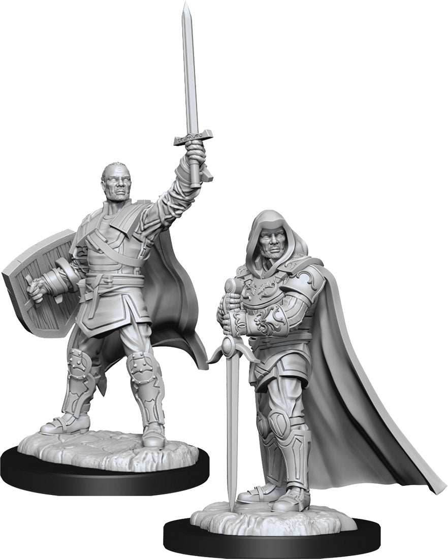 D&D: Nolzur's Marvelous Miniatures - Human Paladin Male - 