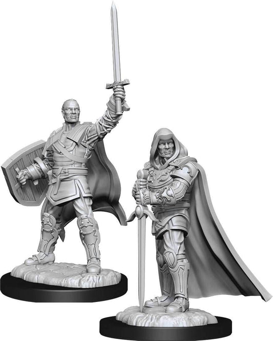 D&D: Nolzur's Marvelous Miniatures - Human Paladin Male - 