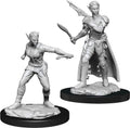D&D: Nolzur's Marvelous Miniatures - Shifter Rogue Female - 