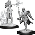 D&D: Nolzur's Marvelous Miniatures - Multiclass Warlock + Sorcerer Female - 
