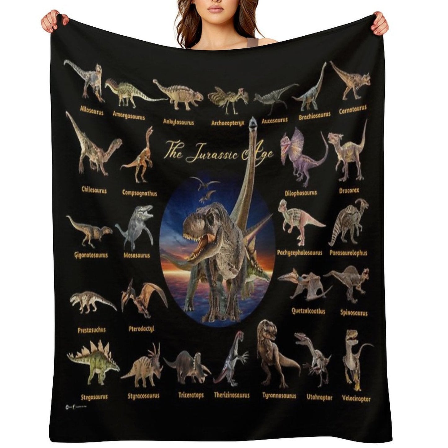 Dinosaurs The Jurassic Age (Black Background) Throw Blanket