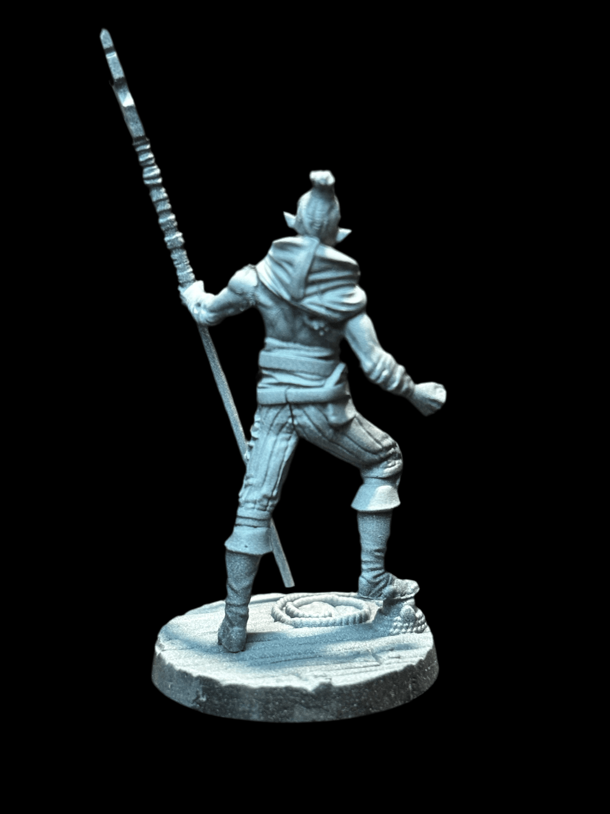 Elf Pirate - Spearman - 