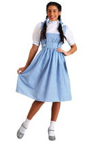 Dorothy Costume - Women's Blue Gingham Dress with White Blouse and Hair Ribbons