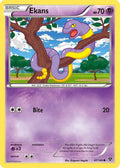 Ekans 047/146 - XY Base Set
