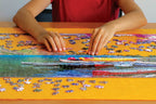 Smart Puzzle: Smart Puzzle Roll & Go - 
