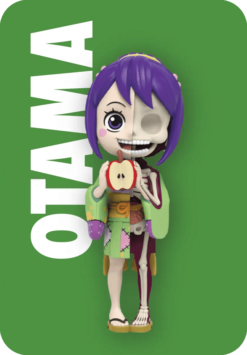 Freeny’s Hidden Dissectibles: One Piece (Ladies Edition) Blind Box (1 Blind Box) - 