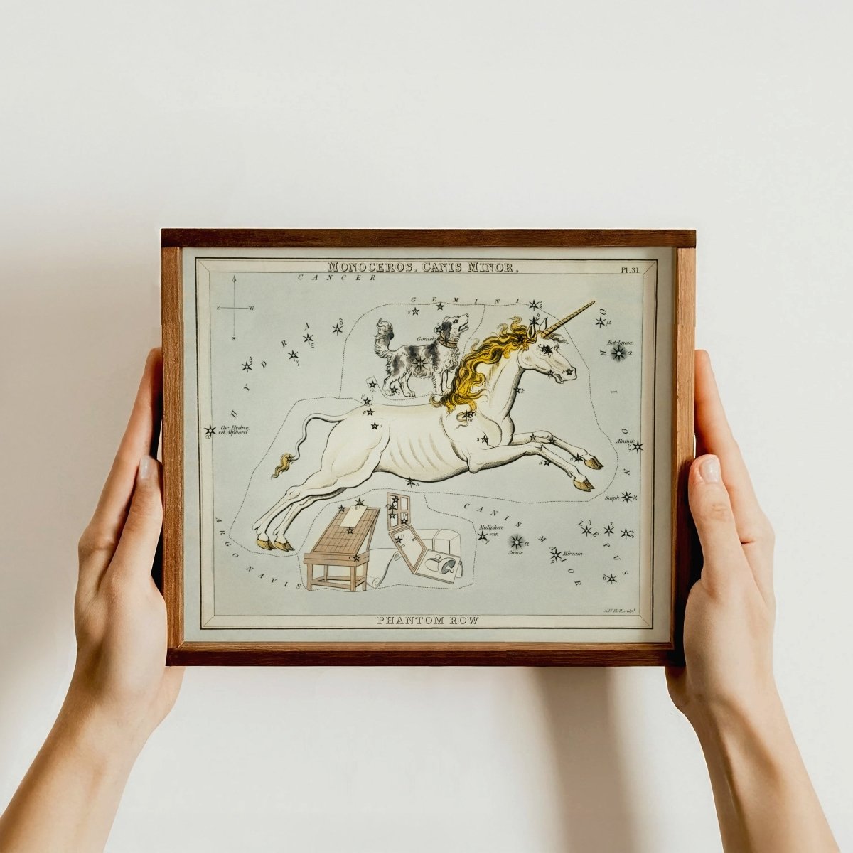 “Monoceros Constellation” Unicorn Art Print