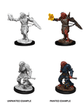 D&D: Nolzur's Marvelous Miniatures - Dragonborn Male Paladin - 
