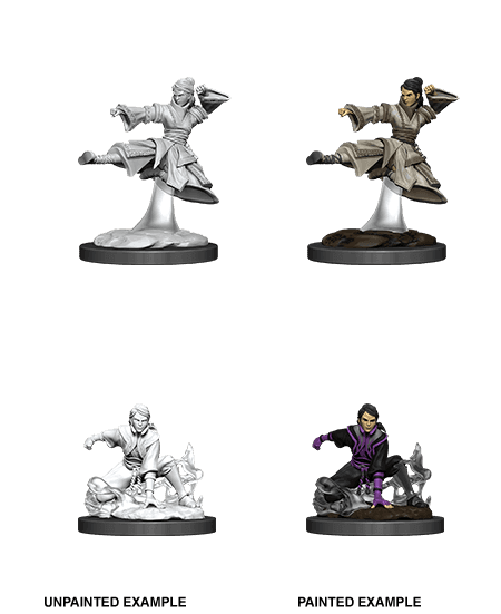 D&D: Nolzur's Marvelous Miniatures - Female Human Monk - 