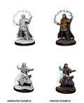 D&D: Nolzur's Marvelous Miniatures - Human Male Wizard - 