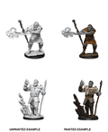 D&D: Nolzur's Marvelous Miniatures - Firbolg Male Wizard - 