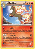 Rapidash 015/106 - XY  Flashfire