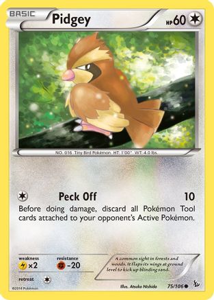 Pidgey 075/106 - XY  Flashfire