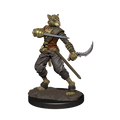 D&D: Icons of the Realms - Tabaxi Rogue Male - 