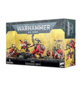 Warhammer 40K: Orks - Squighog Boyz - 