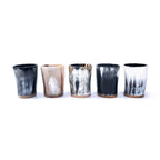Horn Shot Cups (5-Pack) - 