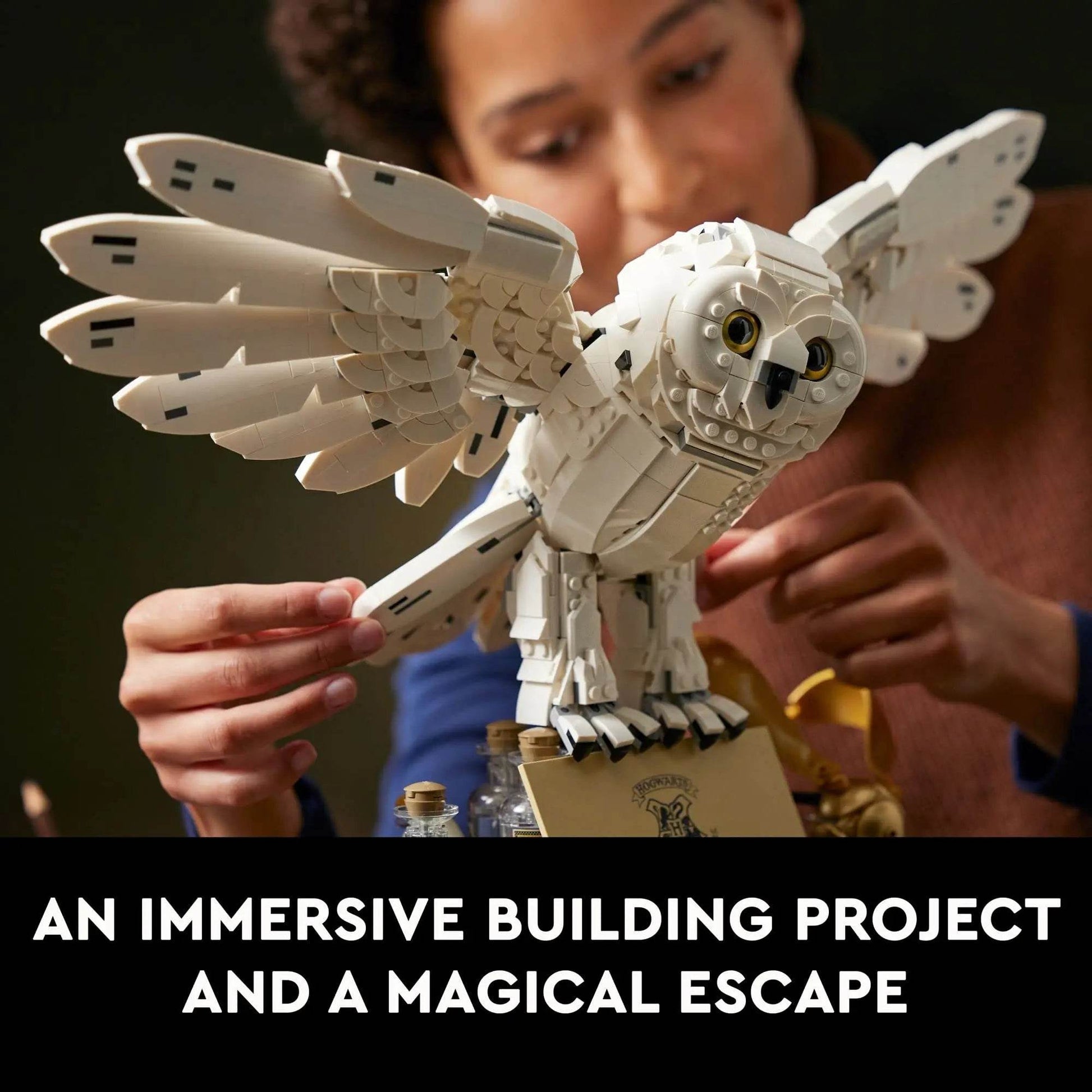 LEGO & Harry Potter Hogwarts Icons Collectors' Edition 76391 Collectible 20th Anniversary Set for Adults Gift (3010 Pieces) - 76391