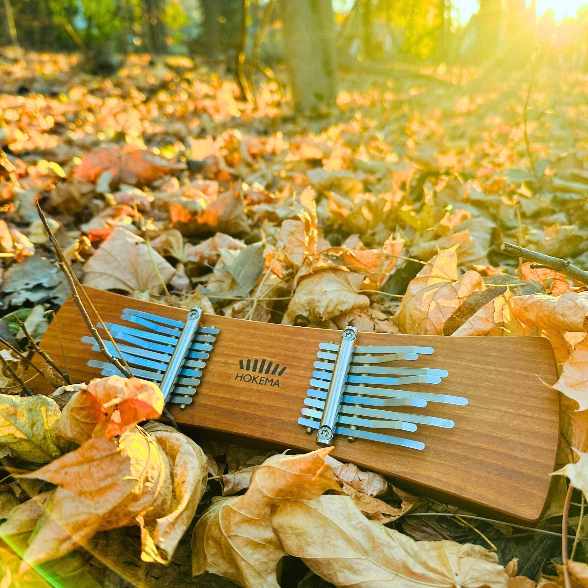 Hokema - Twin Kalimba - Aria (A-minor)
