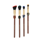 Harry Potter Holiday | House Champions Face & Brush Set