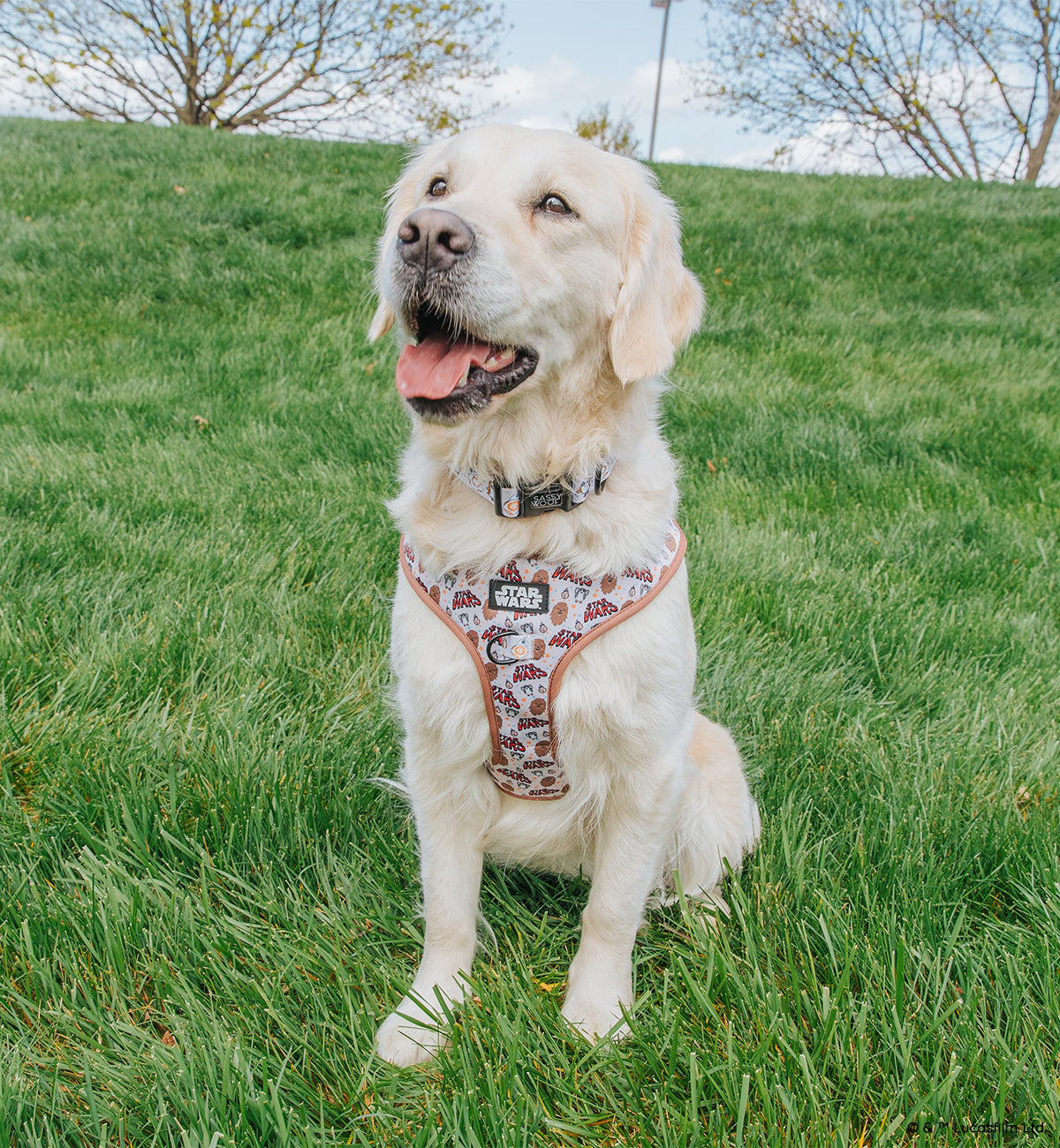Dog Adjustable Harness - STAR WARS™ The Rebel Alliance